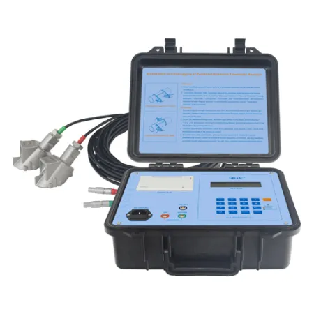 Ultrasonic Flowmeter AUF620 Series 1